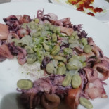 Redó Cibo
