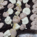 Moraima Cibo