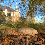 Schloss Ringenberg Esterno