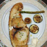 Comercial Cibo