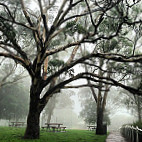 Picnic Point outside