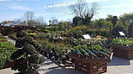 Embleys Nurseries outside