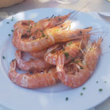 Sabinar Cibo