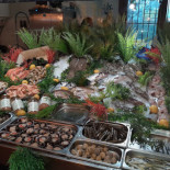 Can Babiloni Cibo