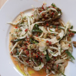 Firebird Cibo