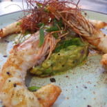 Tocata Cibo