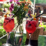 Fuchsbar Cibo