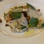 Mohn Cibo
