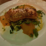 Pfoertner Cibo