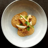 Umami Dentro