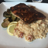 Harbor Halcyon Cibo