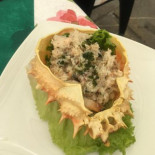 Trattoria Splendor Comida