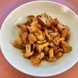 Nancy Bourguignon Cibo