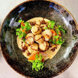 Sterenn Cibo