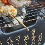 Firefly Cibo