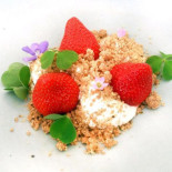 Freustil Cibo