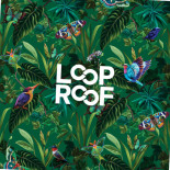 Loop Piatti