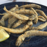 Rafa Cibo