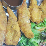 Singh's Cibo