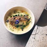 Bloom Cibo