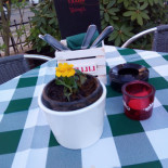 Nudeltopper Cibo