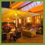 Cafe Lobo Cibo