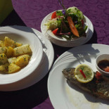 Sunnseit Cibo