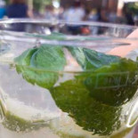 Café Vivo Cibo