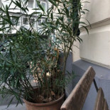 Café Feynsinn Esterno