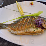 Kingfisher Cibo