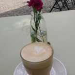 Karton Cibo