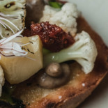Terrae Cibo