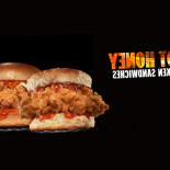 Hardee's Cibo
