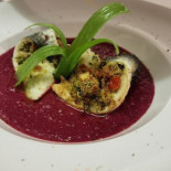 Elia Cibo
