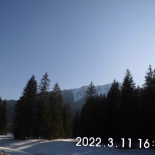 Berggasthof Moni-alm Gmbh Dentro