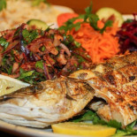 Cemo Cibo