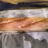 Aboros Cibo