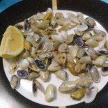 Comercial Cibo