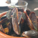 Monmar Cibo