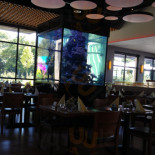 Xiao Marl Cibo