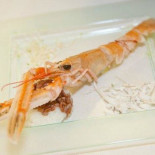 Artecrazia