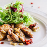 Msc Cibo