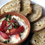 Opus Cibo