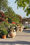 The Walled Garden Centre inside