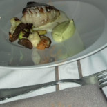 Masterchef Cibo
