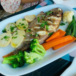 Babugem Cibo