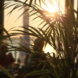 Café El Sol Esterno