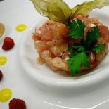 Opera Cibo