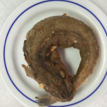 Covense Cibo