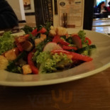 Der Stadtkater Cibo